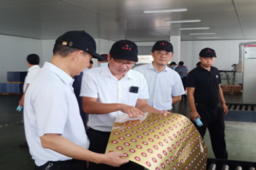 科技创新支撑产业高质量发展