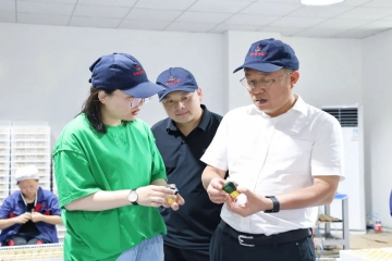 遵义市汇川区委书记徐俊峰一行莅临贵州百世佳调研指导