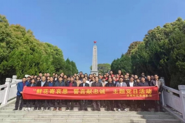 清明节主题党日活动【鲜花寄哀思 誓言献忠诚】