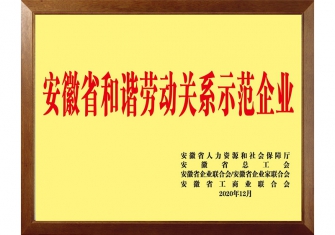 安徽省和谐劳动关系示范企业